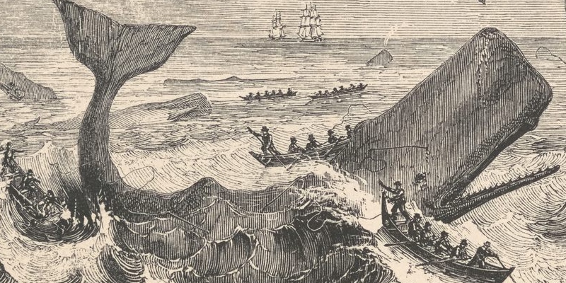 Moby Dick oleh Herman Melville, Epik Laut yang Abadi